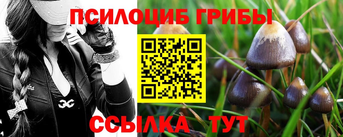 Галлюциногенные грибы мицелий Ставрополь